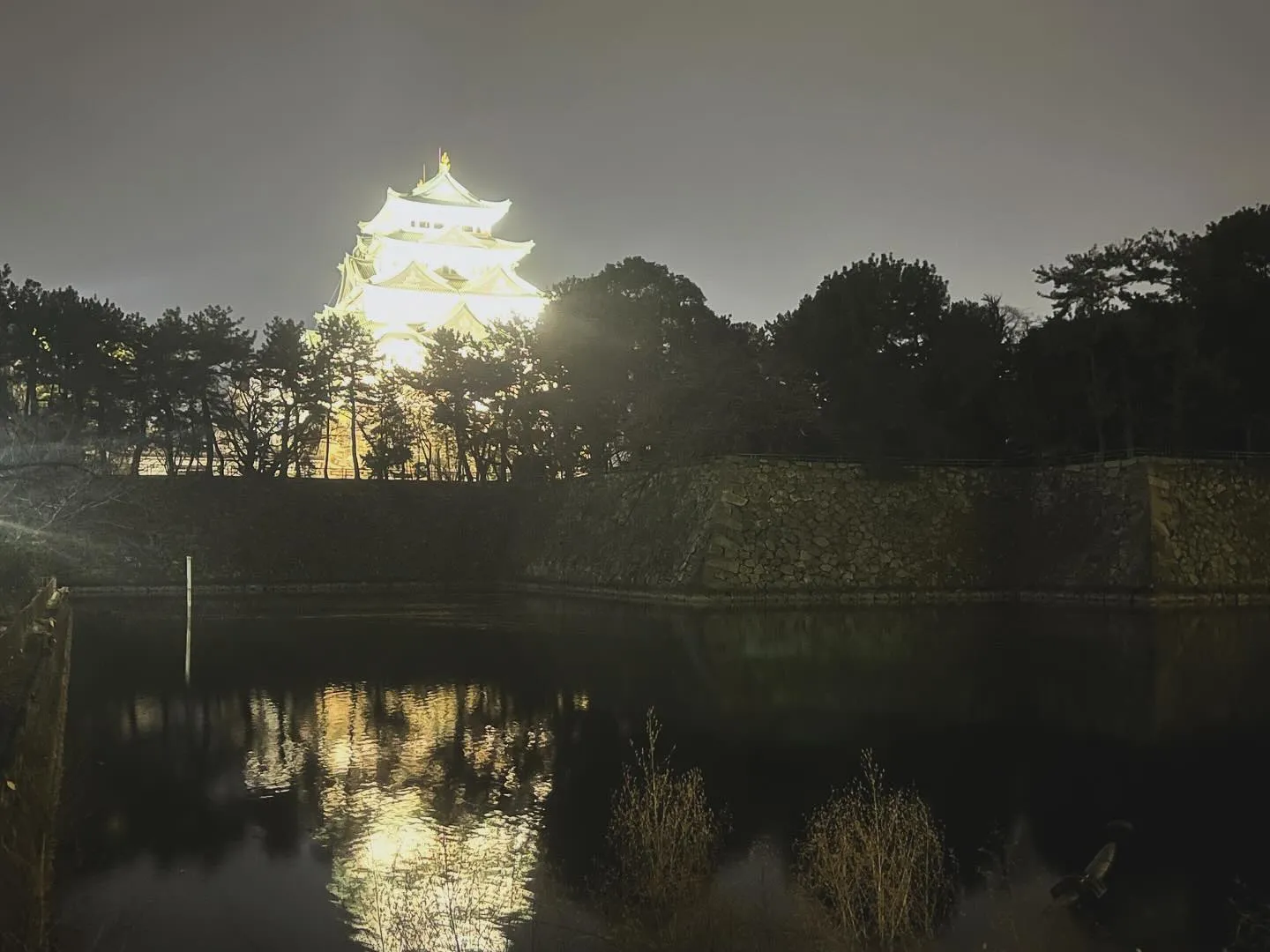 水面に映る名古屋城！