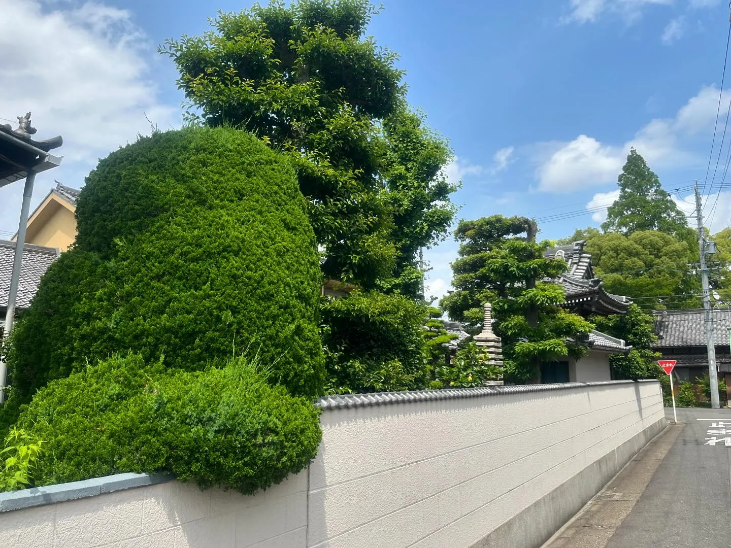 令和6年5月26日天候晴れ時々曇り。