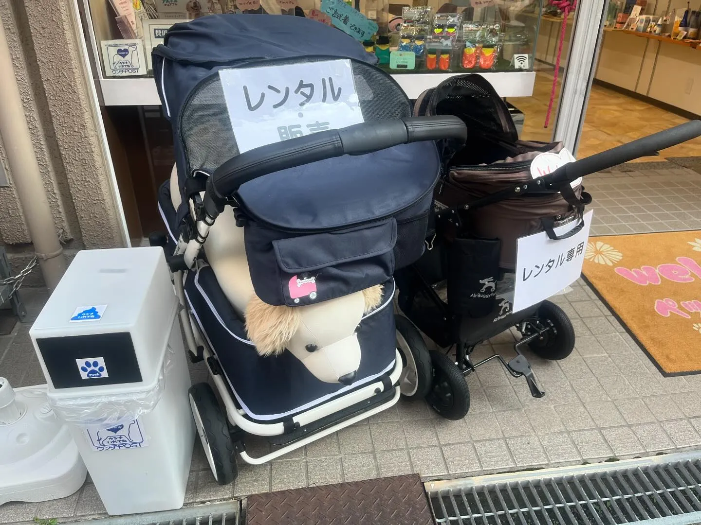 本日は午後より大阪市西区にあるペットメディカルラボさんにお邪...