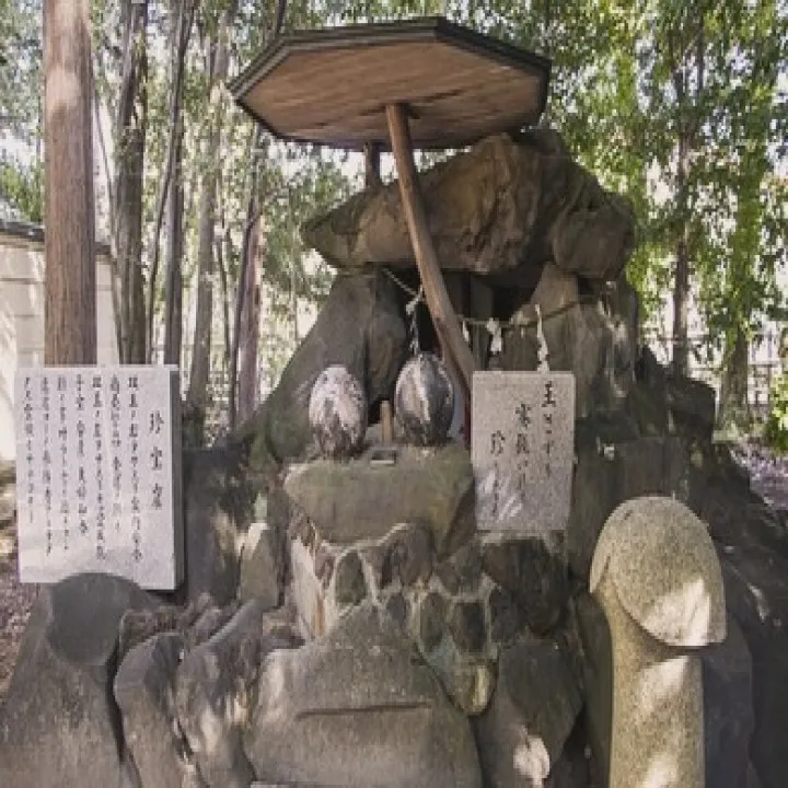 今日は野良猫🐈ちゃんの引取火葬の依頼があり、愛知県小牧市に訪...