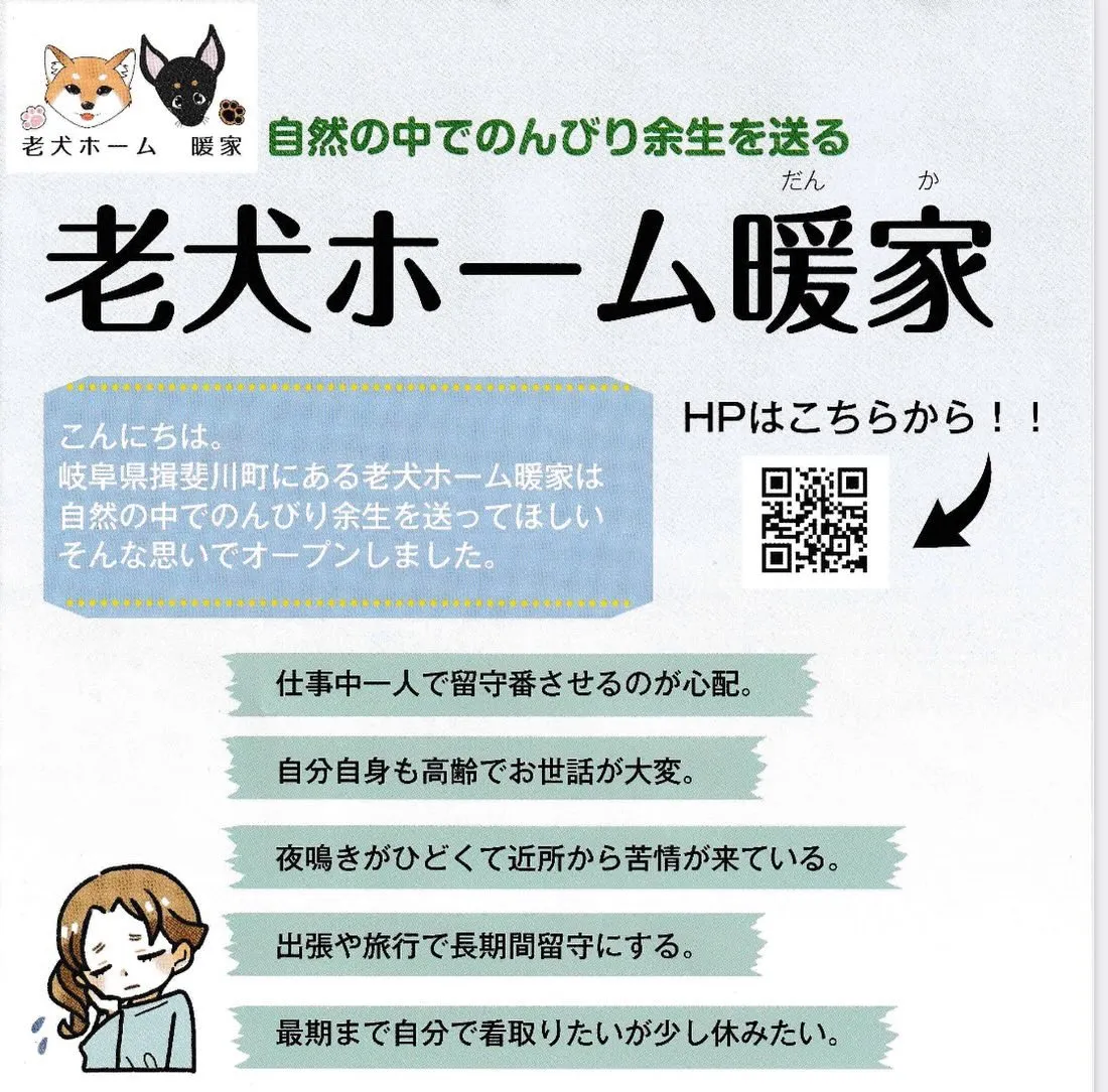 老犬ホーム🏠暖家(だんか)さんのご紹介