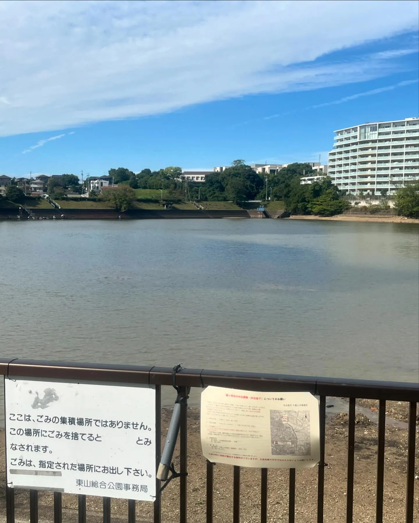 懐かしの猫洞池に寄り道